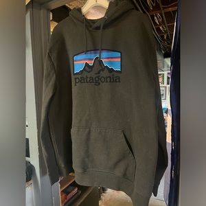 MENS XXL PATAGONIA SWEATSHIRT BROWN HOODY